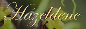 Hazeldene Residential Care Home